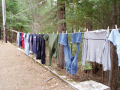 Clothesline