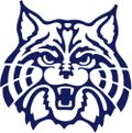 Arizona Wildcats