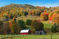 Fall Color