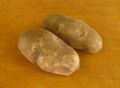 Russet Potatoes