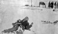 Big_foot_dead_at_wounded_knee_1890