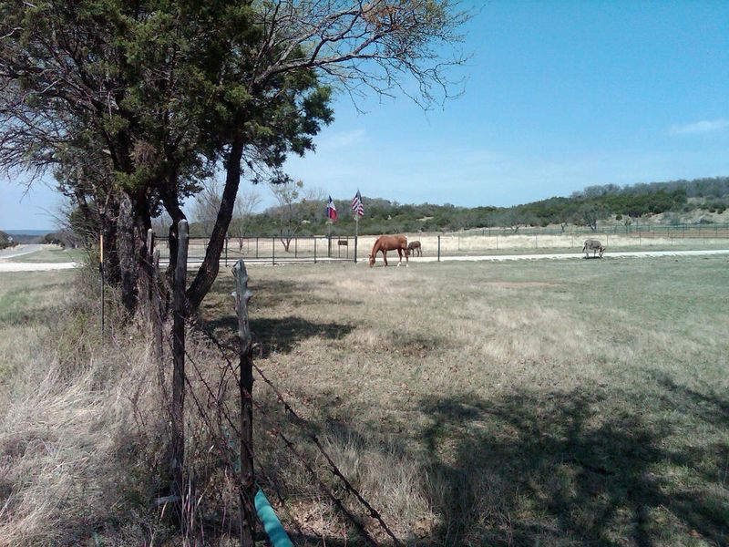 20110319, #6, Horses Atop Cherry Pie Hill