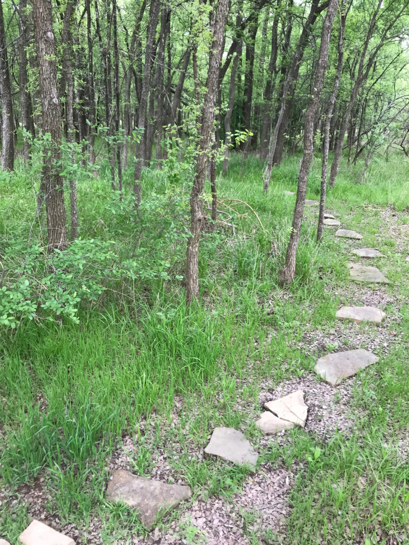 20180326  River Legacy Parks