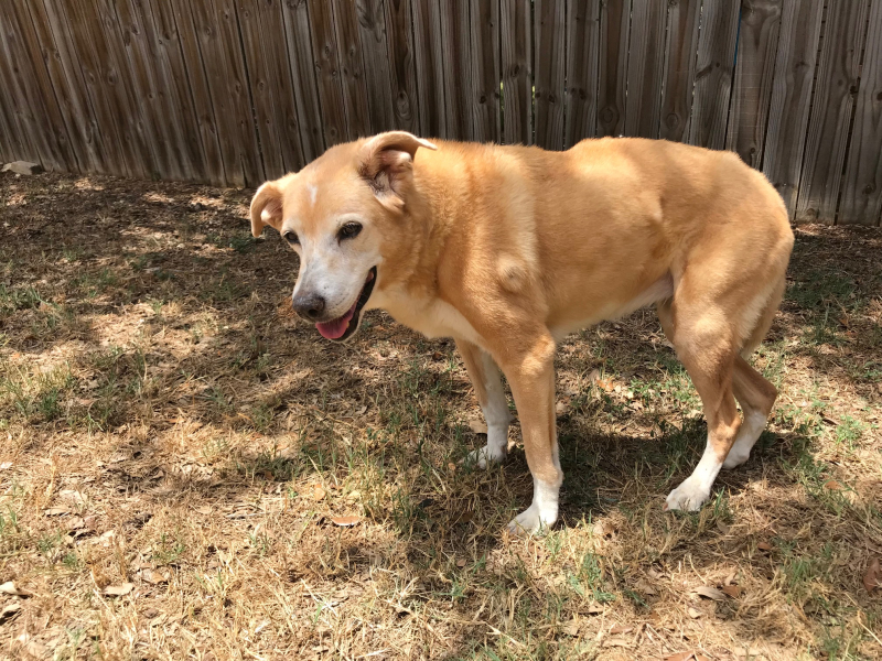 20180717 Shelbie 15 Years After the Day She Came to Me 20180717 Shelbie 15 Years After the Day She Came to Me