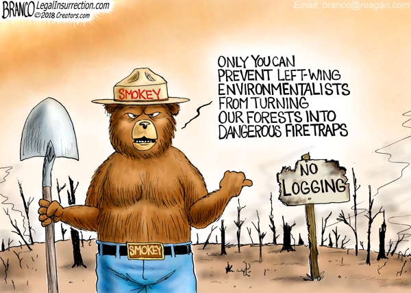 Fire Traps
