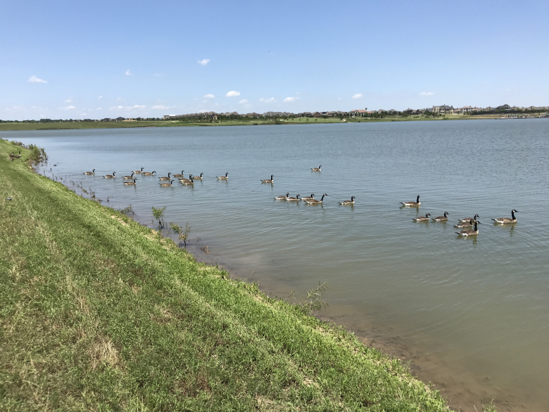 20190612 Lake Viridian 20190612 Lake Viridian