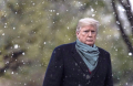 Donald J. Trump 12