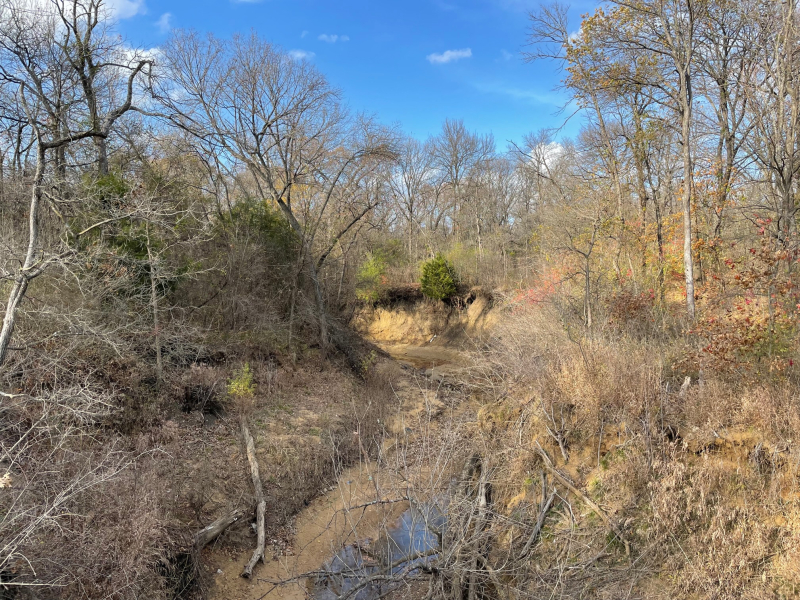 20211215  River Legacy Parks 1