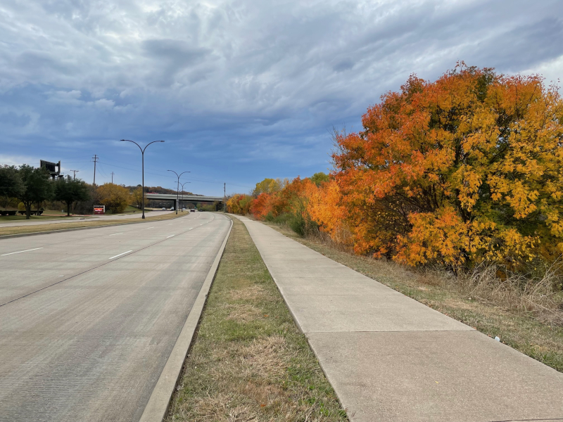 20211203  Fall Foliage on Green Oaks Boulevard  Arlington  Texas