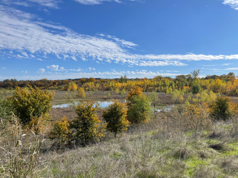 20221129  Fall Color 1