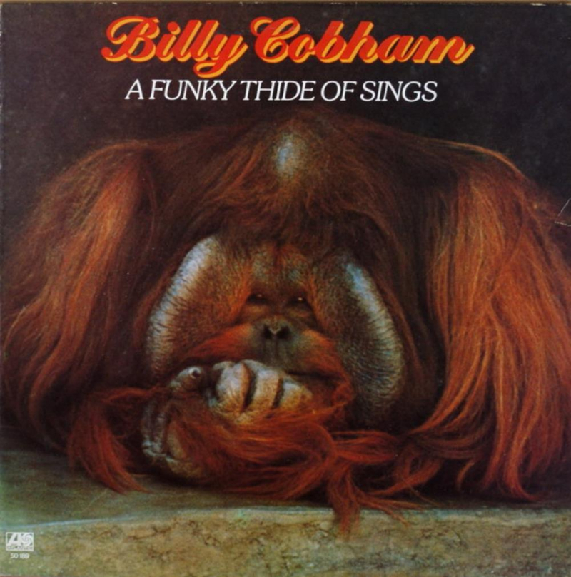 Billy Cobham A Funky Thide of Sings (1975) Billy Cobham A Funky Thide of Sings (1975)