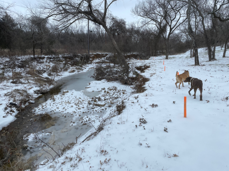 20230131  Wintry Weather 2