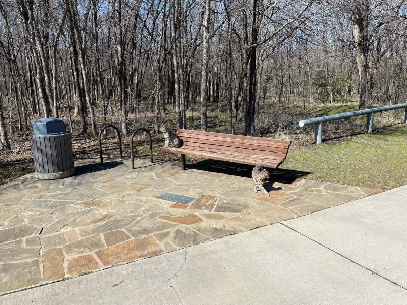 20230211  Two Bobcats