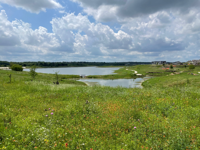 20230515  Viridian 2