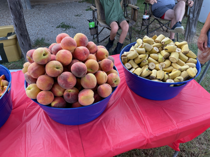 20230708  Peach Pedal Rest Stop