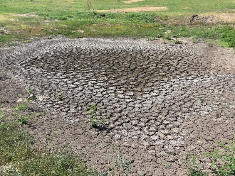 20230906  Dried Pond 1